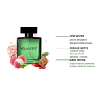 Blush Boom Extrait de Parfum | Luxury Long Lasting Unisex Perfume